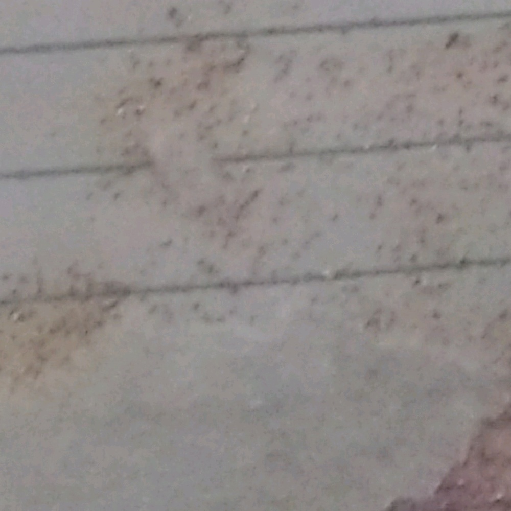 Meet your Posher, Mari